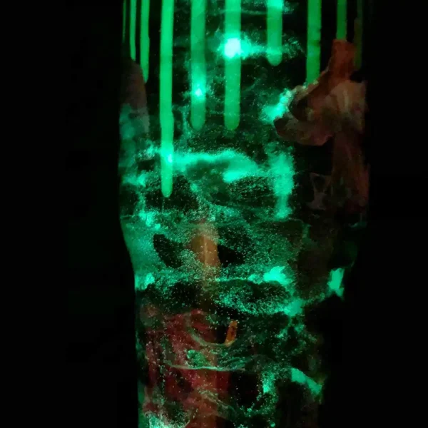 Close-up of the glow-in-the-dark details of the Re-Animator Tumbler.